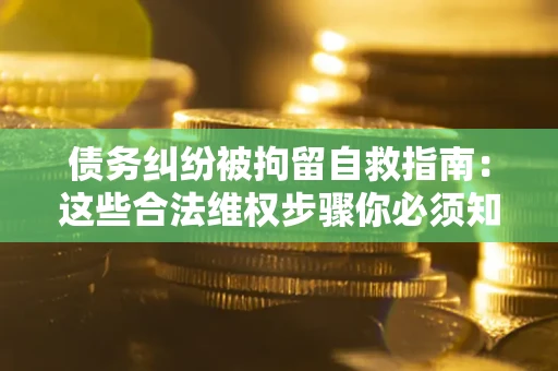 济南债务纠纷被拘留自救指南：这些合法维权步骤你必须知道！