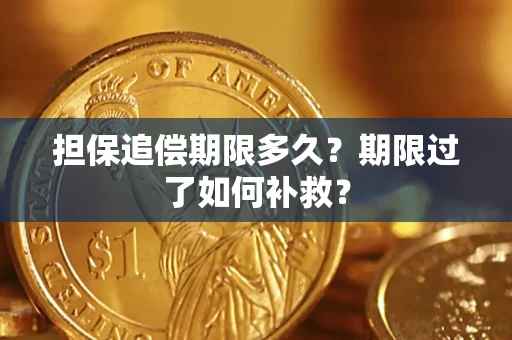 济南担保追偿期限多久？期限过了如何补救？