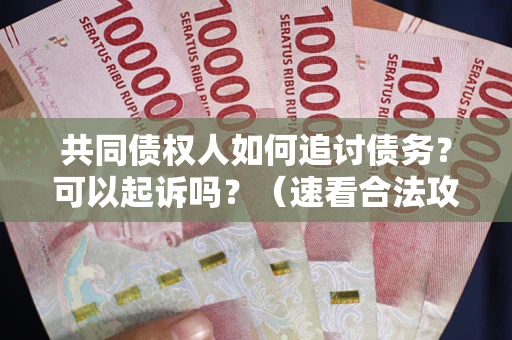 济南共同债权人如何追讨债务？可以起诉吗？（速看合法攻略）