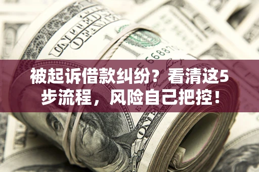 济南被起诉借款纠纷？看清这5步流程，风险自己把控！