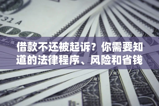 济南借款不还被起诉？你需要知道的法律程序、风险和省钱技巧